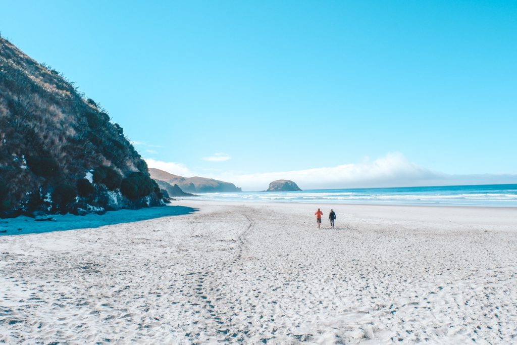Allans Beach on Otago Peninsula - South Island