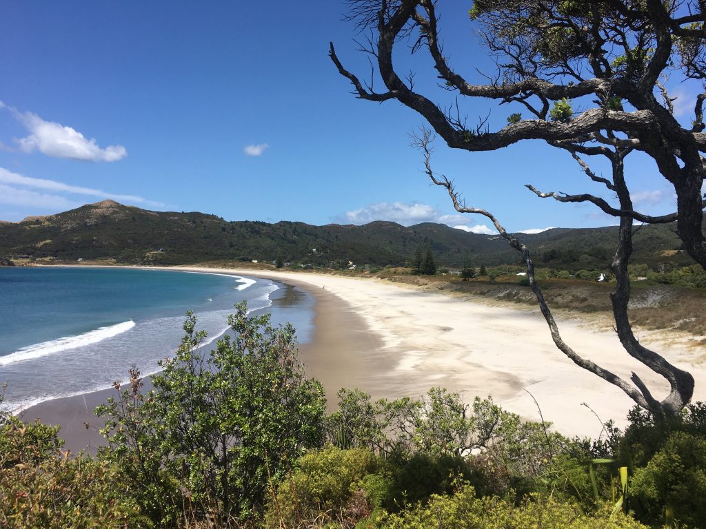 Medland's Beach is one of the best beaches in New Zealand