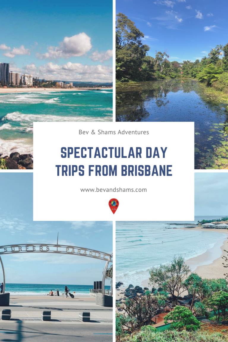 Best day trips from Brisbane