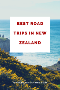 Best road trips in New Zealand