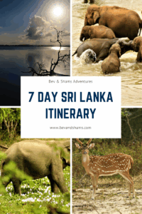 7 Day Sri Lanka itinerary