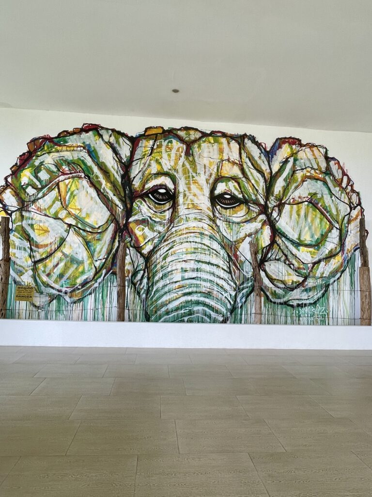 Elephant theme is big at Aliya Resort and Spa